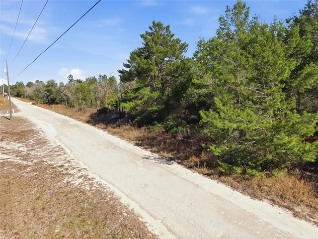 a view of a dry yard with trees in the background