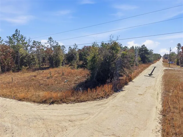 a view of a dry yard