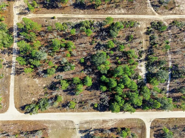 a view of a yard with a wooden bridge
