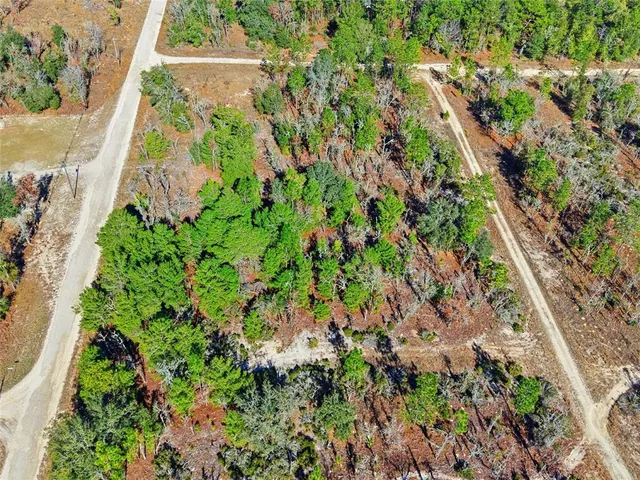 a view of a garden with plants