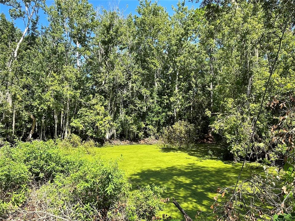 16415 Bearle Road Orlando, FL 32828 - Photo 11 of 20