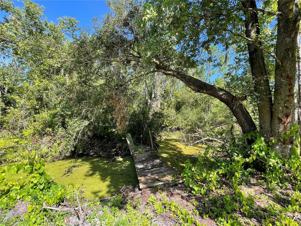 16415 Bearle Road Orlando, FL 32828 - Photo 12 of 20