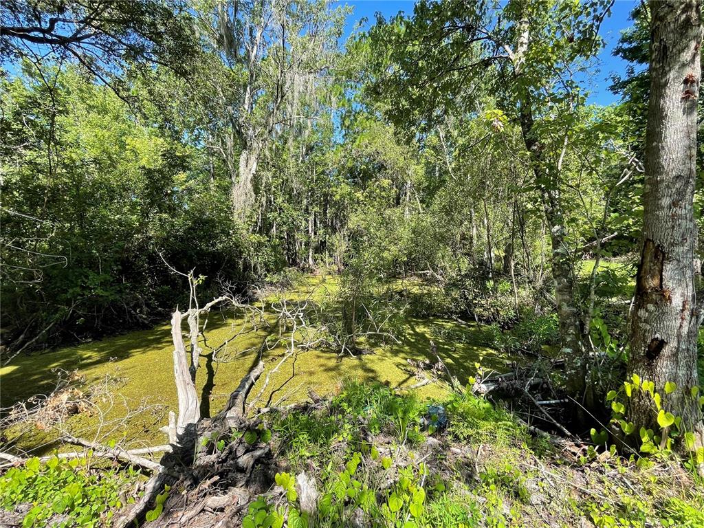 16415 Bearle Road Orlando, FL 32828 - Photo 13 of 20