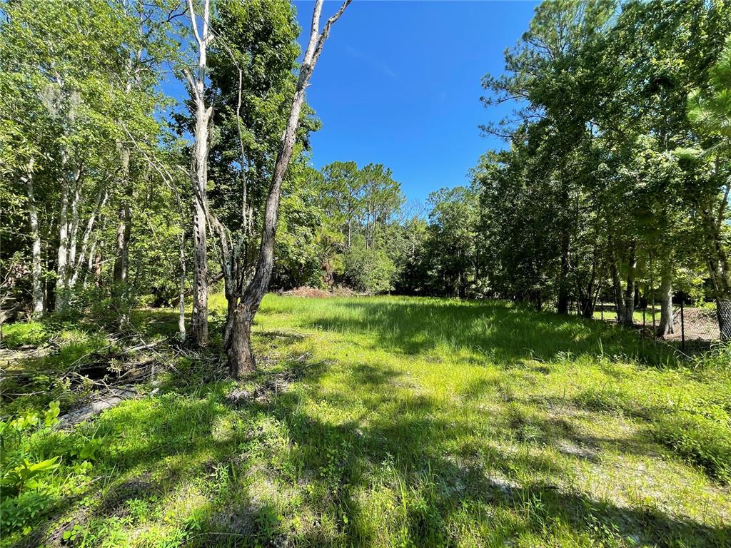 16415 Bearle Road Orlando, FL 32828 - Photo 14 of 20