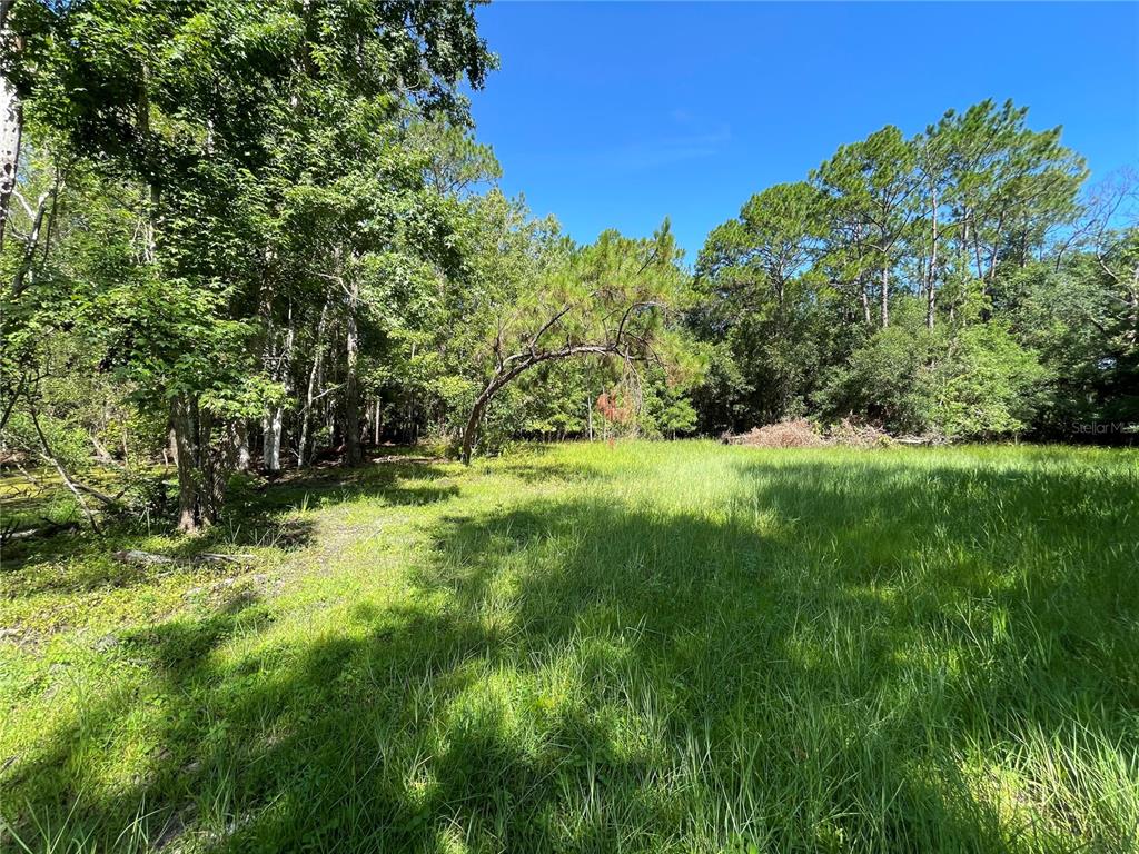 16415 Bearle Road Orlando, FL 32828 - Photo 15 of 20