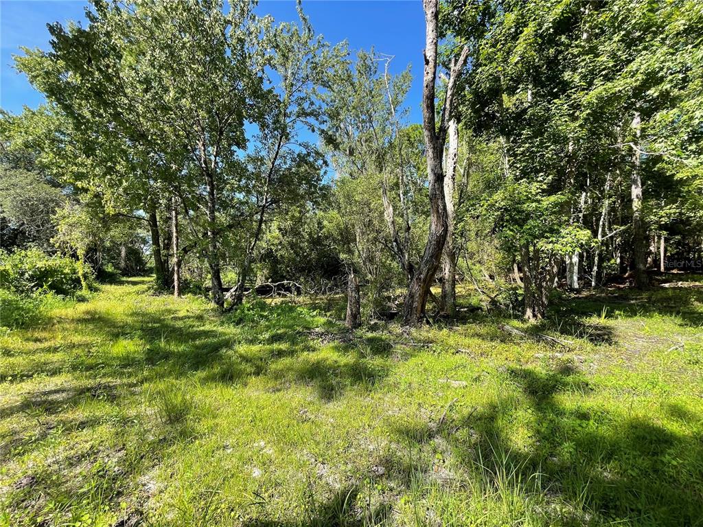 16415 Bearle Road Orlando, FL 32828 - Photo 16 of 20