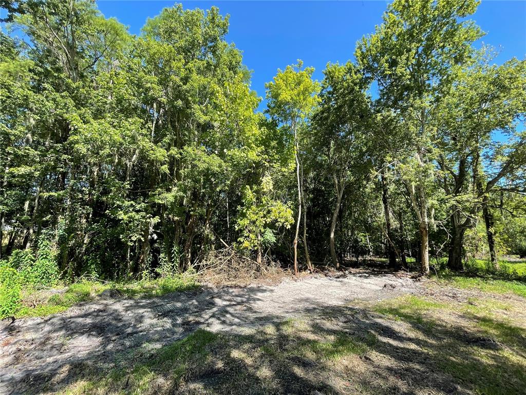 16415 Bearle Road Orlando, FL 32828 - Photo 20 of 20