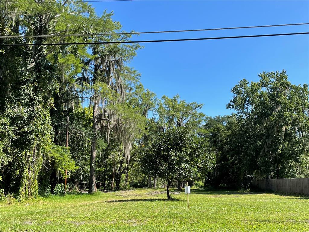 16415 Bearle Road Orlando, FL 32828 - Photo 2 of 20