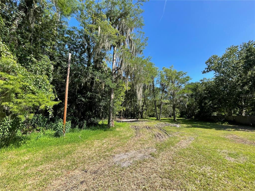 16415 Bearle Road Orlando, FL 32828 - Photo 3 of 20