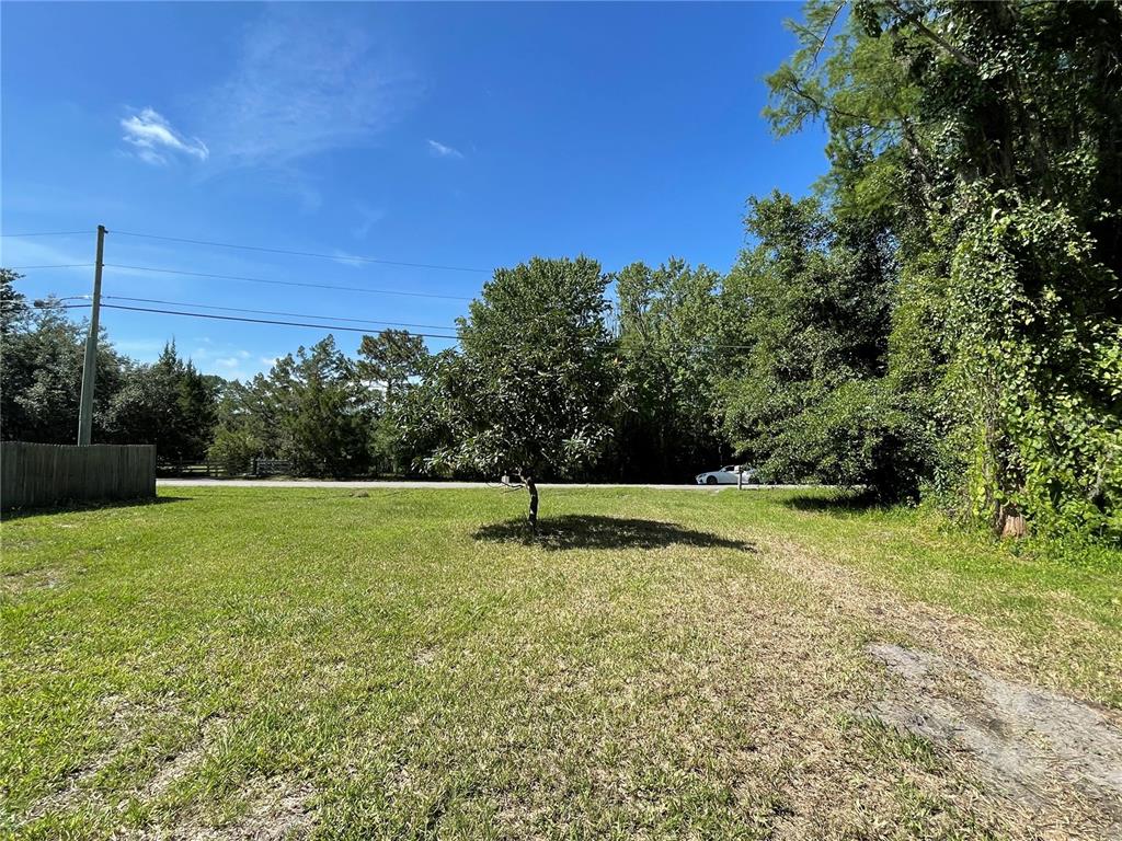 16415 Bearle Road Orlando, FL 32828 - Photo 4 of 20