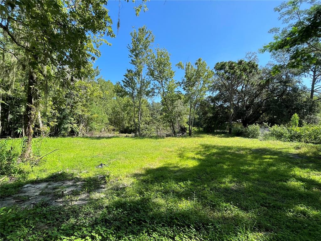 16415 Bearle Road Orlando, FL 32828 - Photo 6 of 20