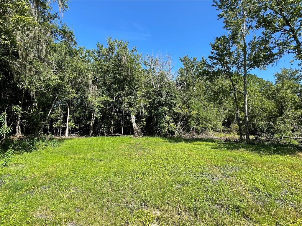 16415 Bearle Road Orlando, FL 32828 - Photo 7 of 20