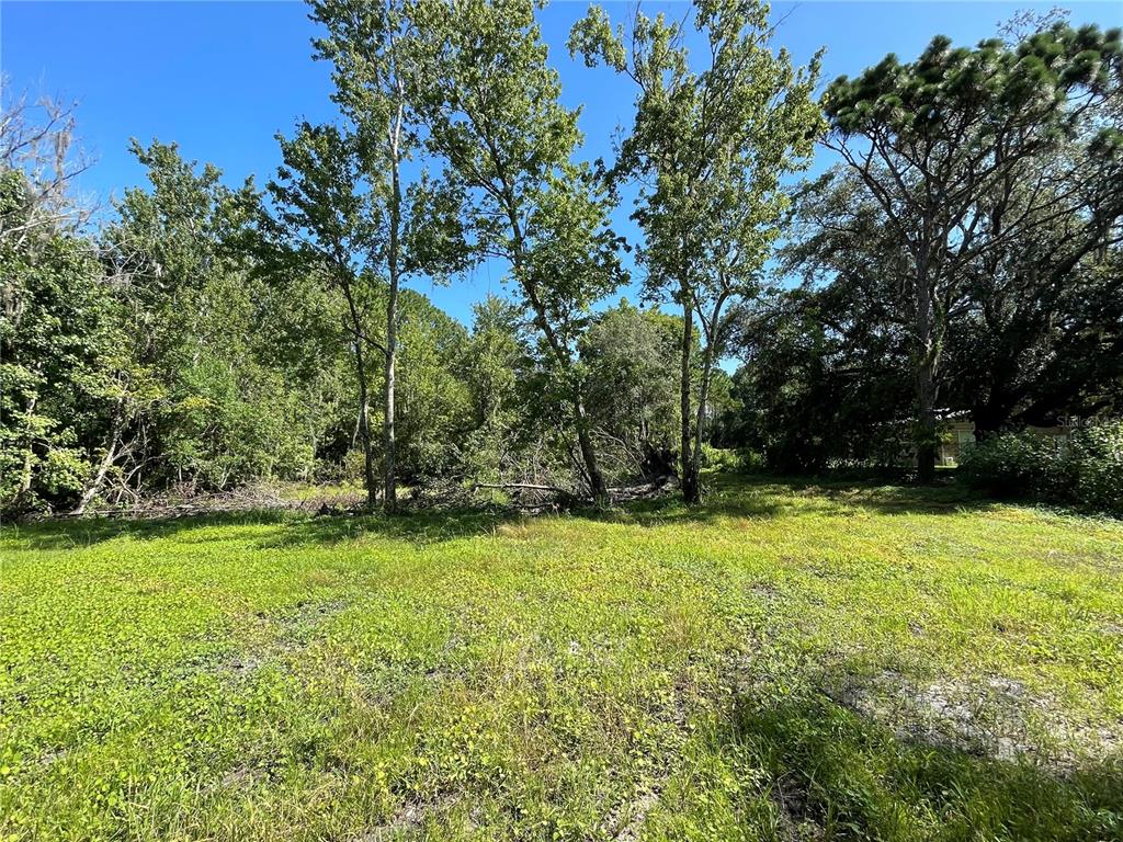 16415 Bearle Road Orlando, FL 32828 - Photo 8 of 20