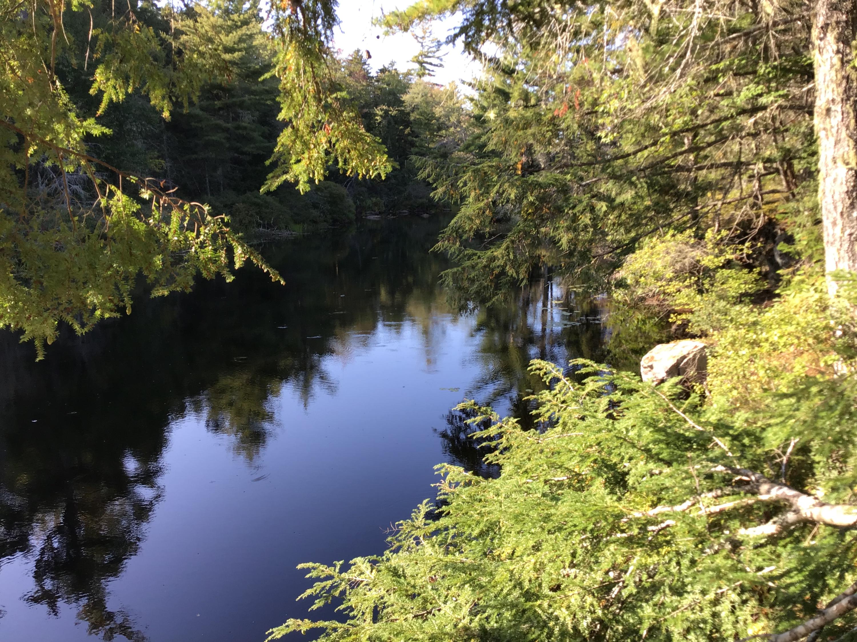 200 Stony Hill Road Ellsworth, ME 04605 - Photo 13 of 18 IMG_1944