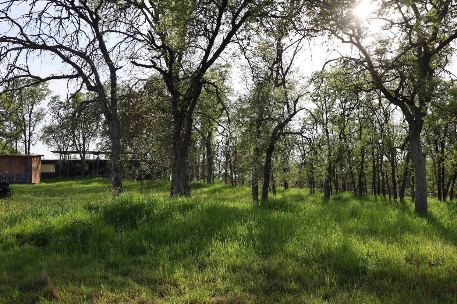 10 Douglas Road South Coarsegold, CA 93614 - Photo 25 of 29 Gallery Image 25