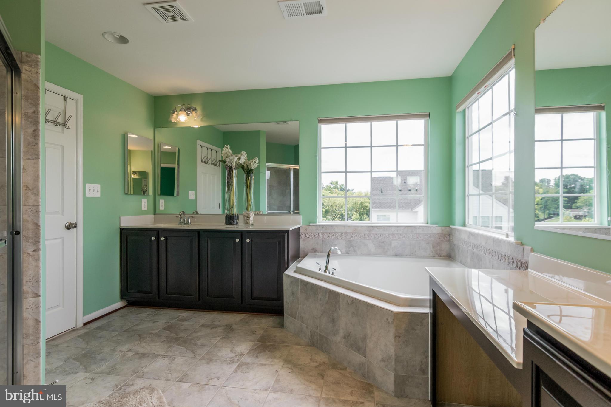 6705 Pebble Brooke Road Baltimore, MD 21209 - Photo 17 of 30 LUXURY MASTER BATH
