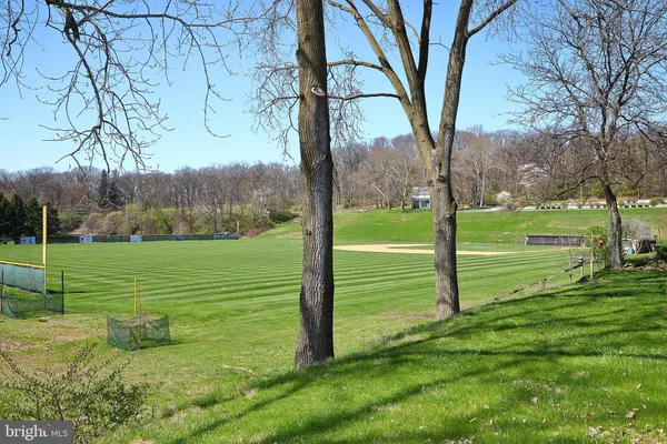 a view of a park with large trees
