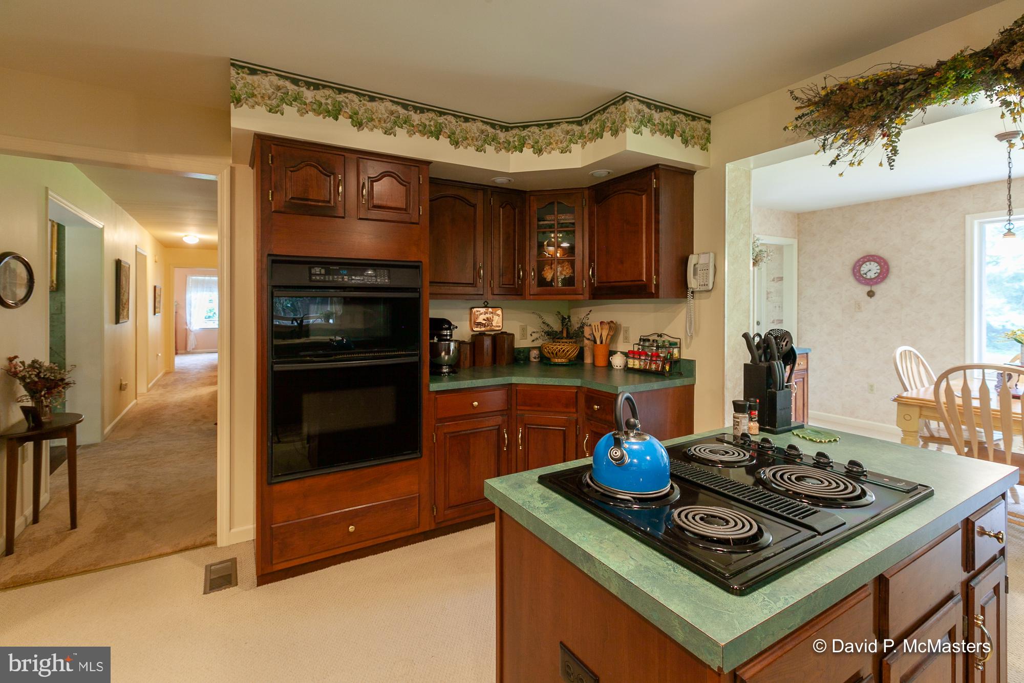 2390 Vineyard Road Falling Waters, WV 25419 - Photo 17 of 49 Kitchen View