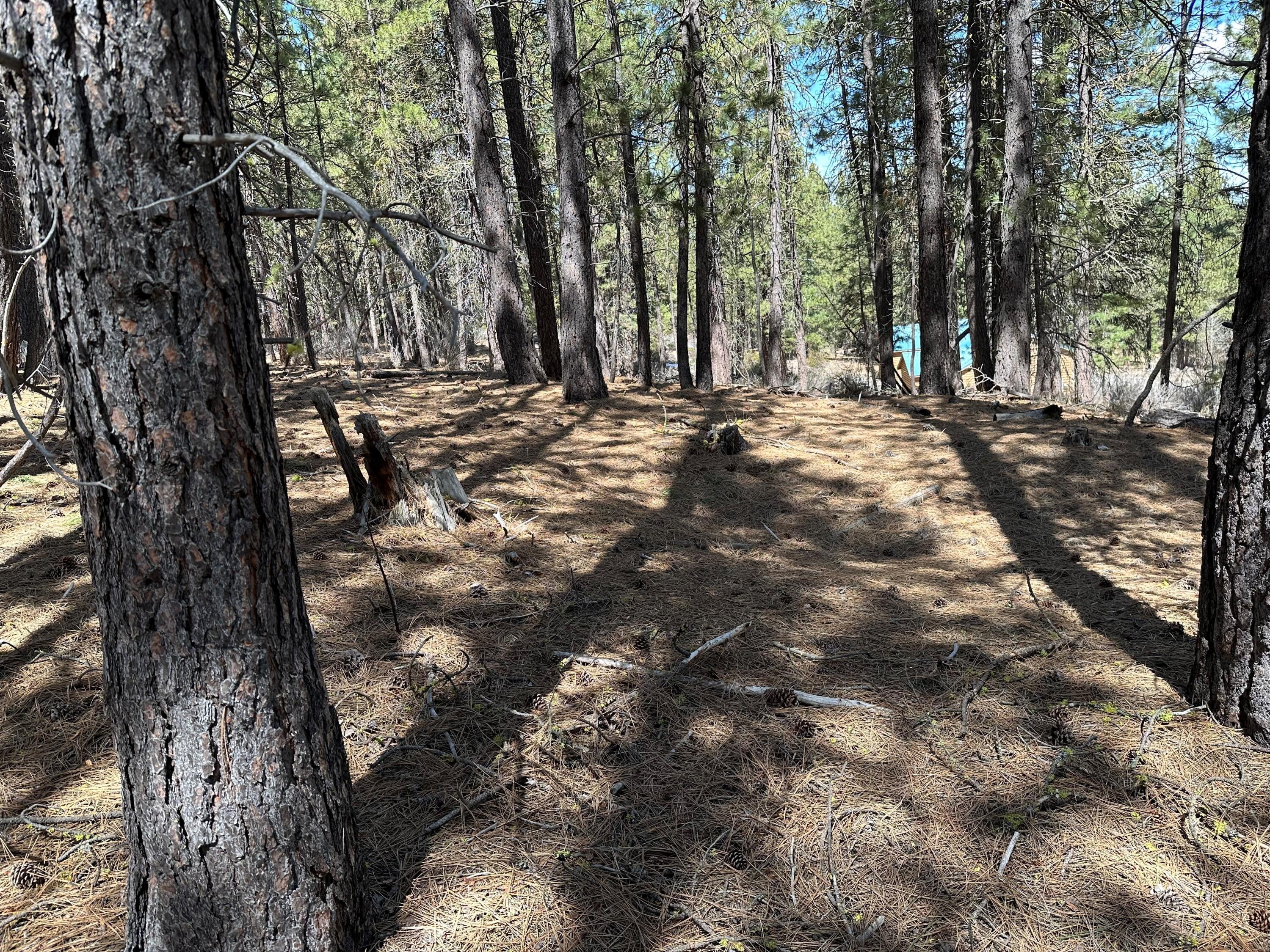 Lot 4 Waterview Way Chiloquin, OR 97624 - Photo 1 of 3 Property View
