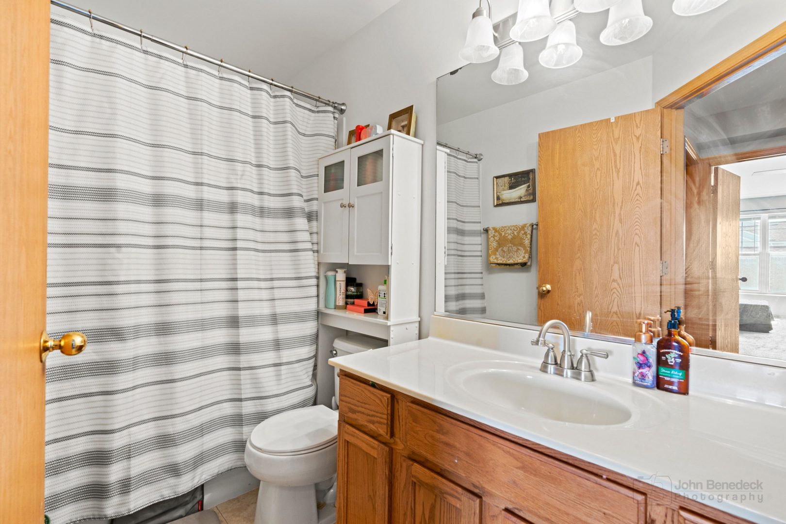1106 Delta Drive Elgin, IL 60123 - Photo 17 of 26 a bathroom with a sink a toilet and shower curtain