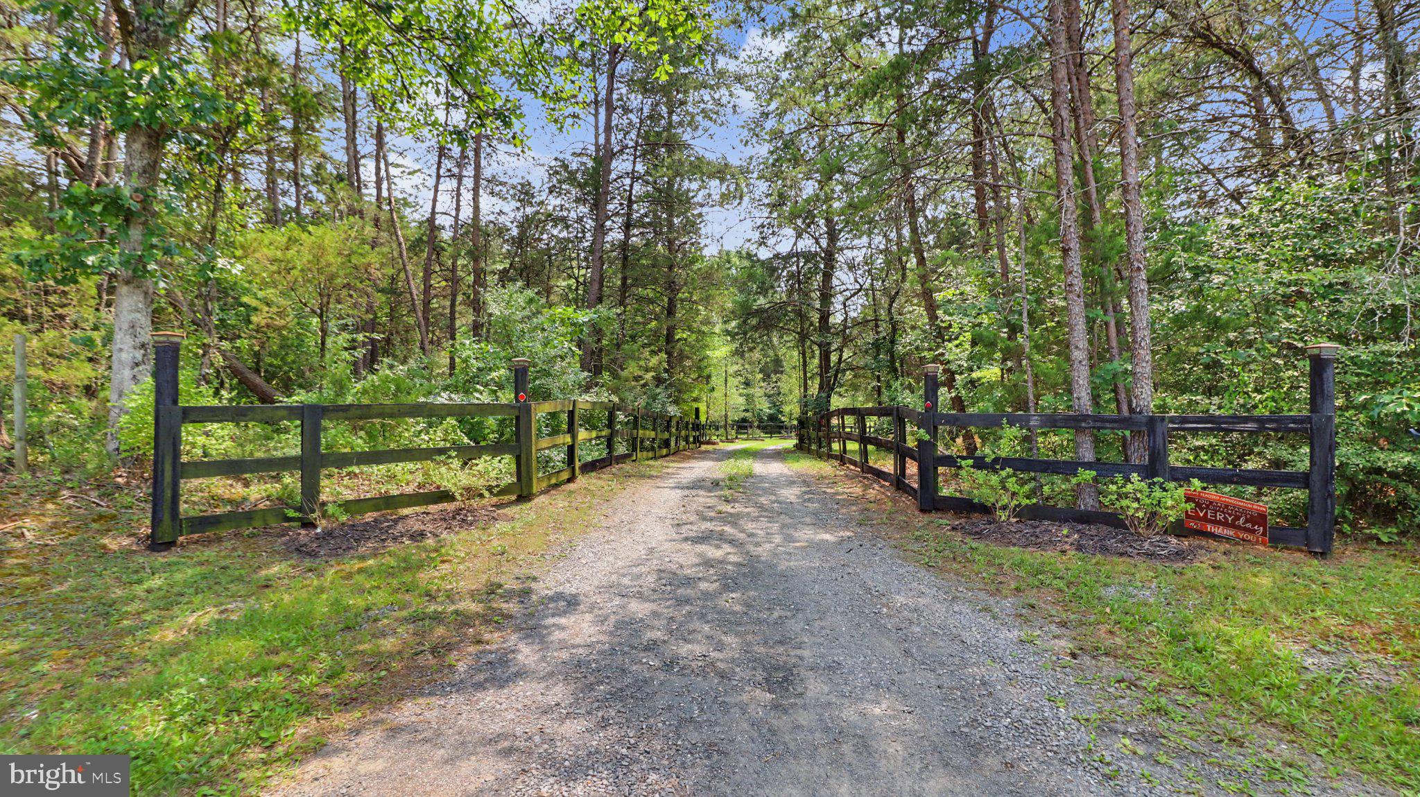 2113 Courthouse Road Catlett, VA 20119 - Photo 3 of 87 Serene pathway through lush greenery.