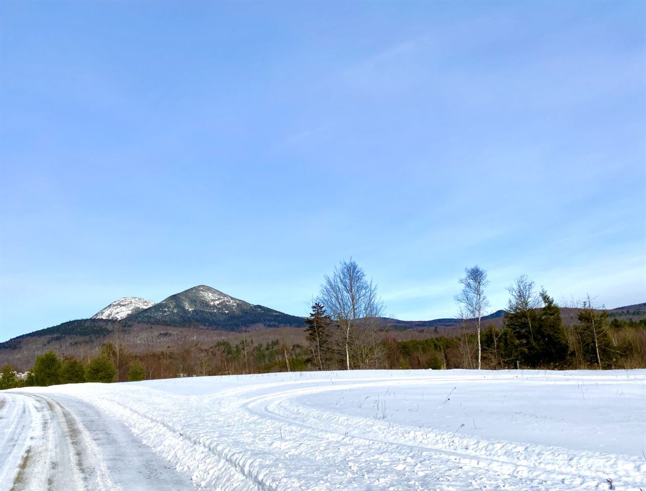 0 Log Hollow Road Stark, NH 03582 - Photo 9 of 9