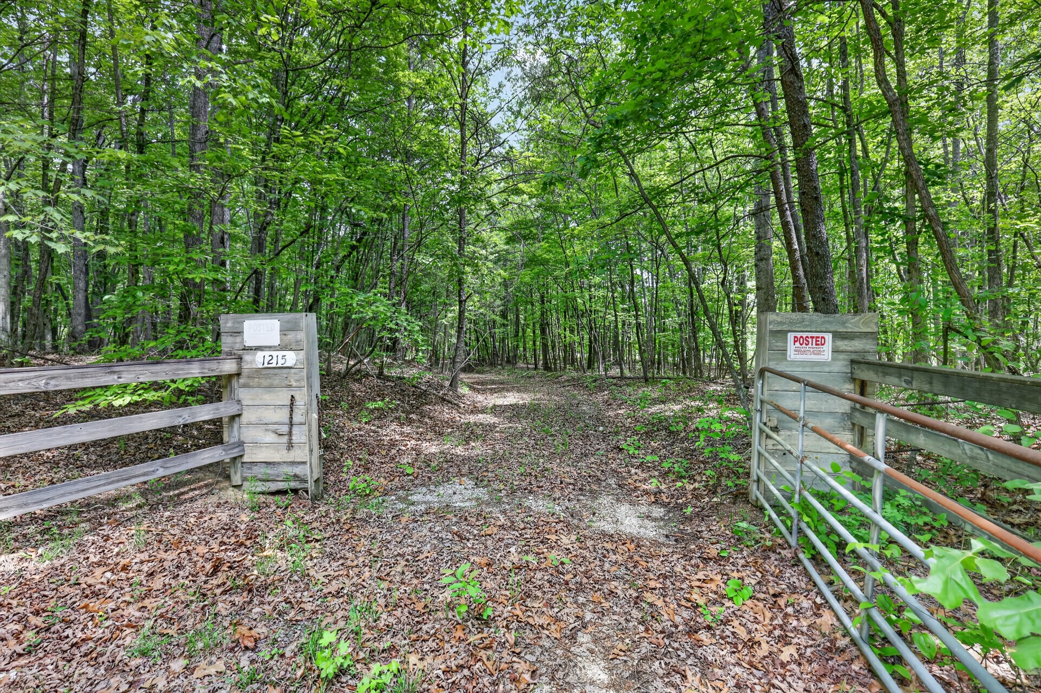 1215 Stage Coach Road Sewanee, TN 37375 - Photo 7 of 30 a view of a park with large trees