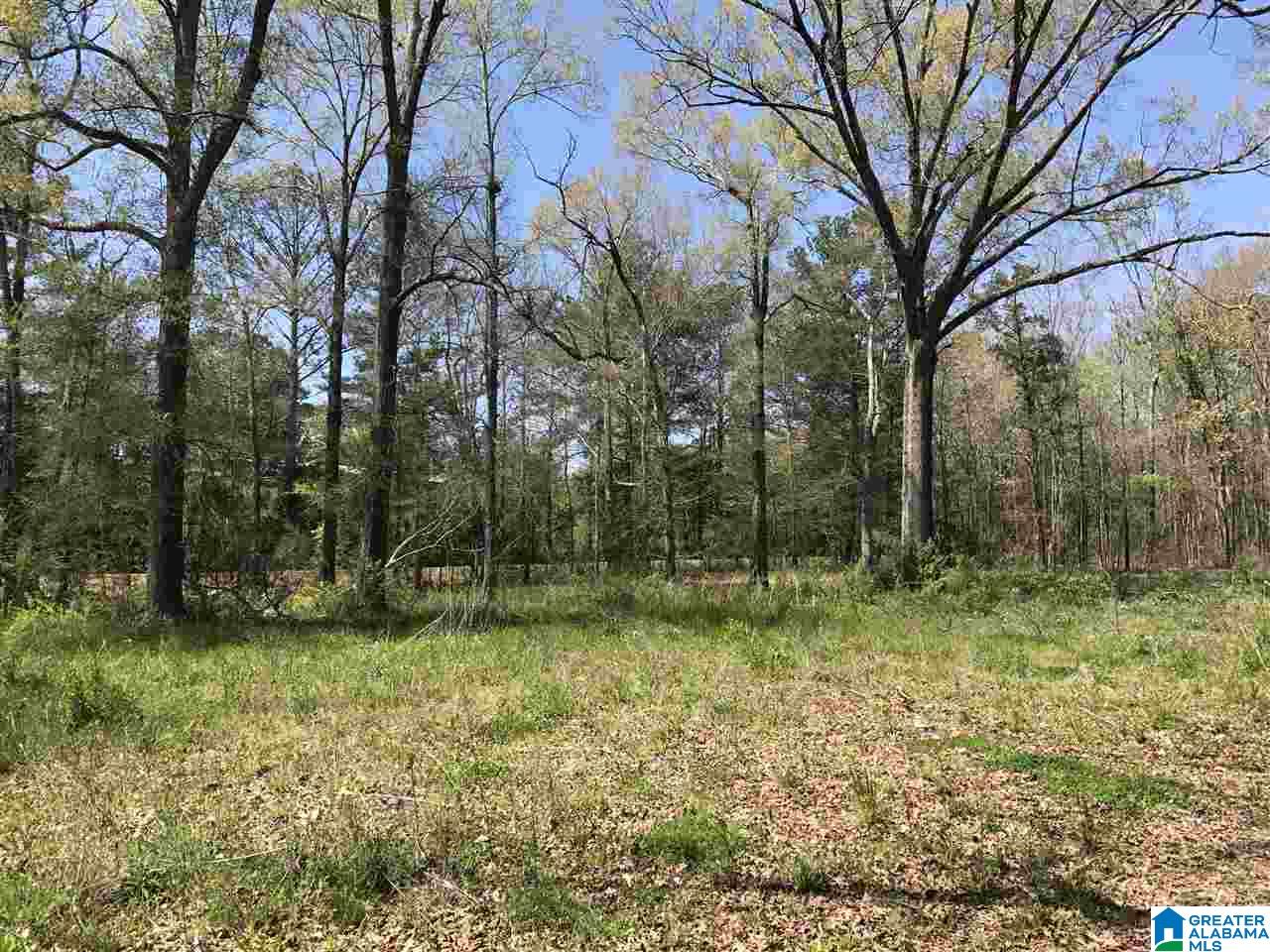 4133 Roy Webb Road, Unit 1 Jacksonville, AL 36265 - Photo 15 of 40