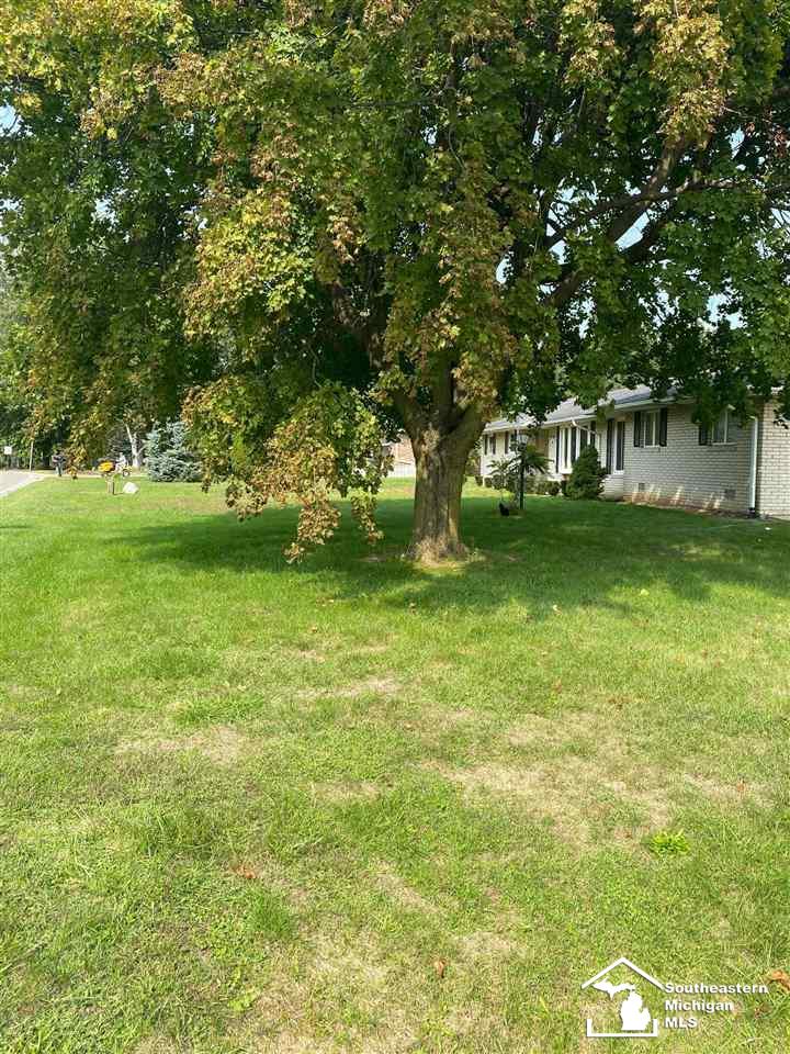 3606 Heiss Road Monroe, MI 48162 - Photo 5 of 28