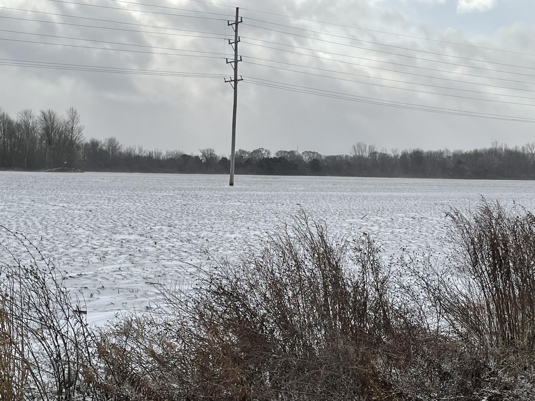 5270 East Remus Road Mount Pleasant, MI 48858 - Photo 3 of 6 1895457-2.JPG