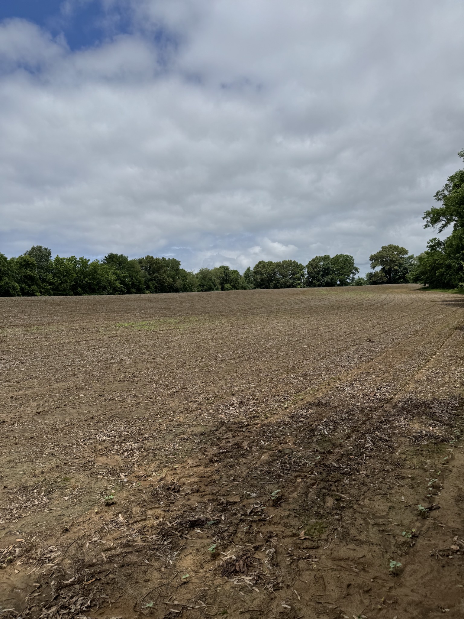 325 Harts Mill Road Atwood, TN 38220 - Photo 25 of 44