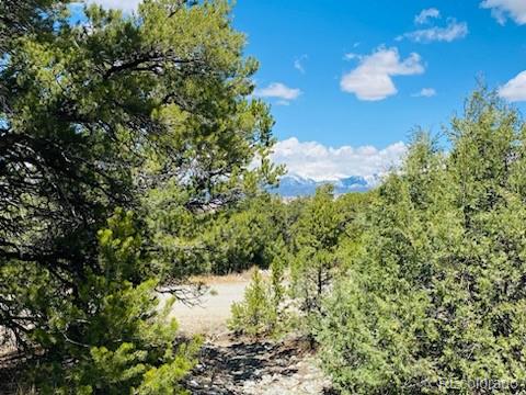 65 Mill Run Mosca, CO 81146 - Photo 6 of 12 a view of a yard with a tree