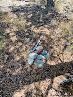 65 Mill Run Mosca, CO 81146 - Photo 7 of 12 a view of a dry yard