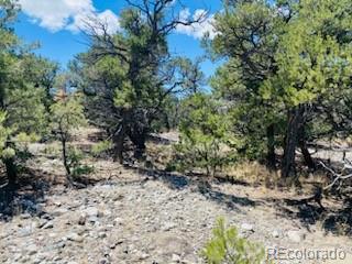65 Mill Run Mosca, CO 81146 - Photo 9 of 12 a view of a yard with lots of bushes