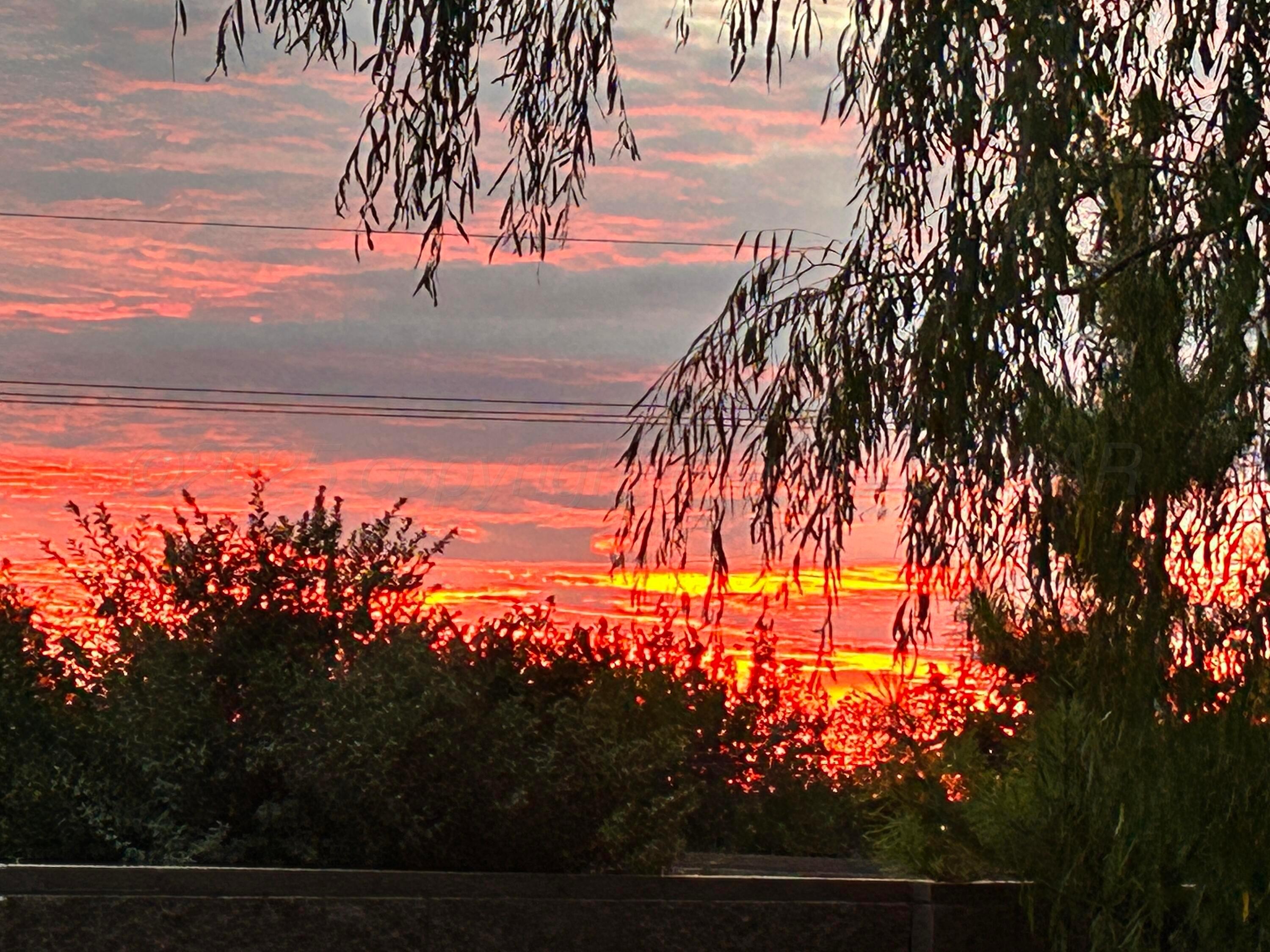 1003 Cabernet Way Amarillo, TX 79124 - Photo 36 of 36