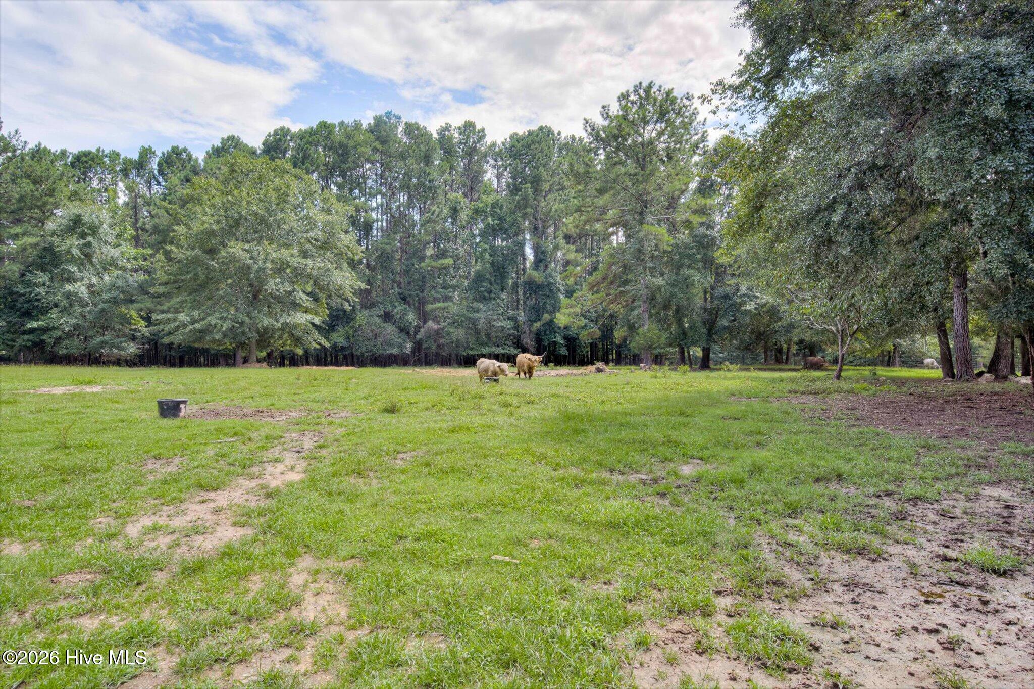 4579 Ridgecrest Drive Thomson, GA 30824 - Photo 9 of 53