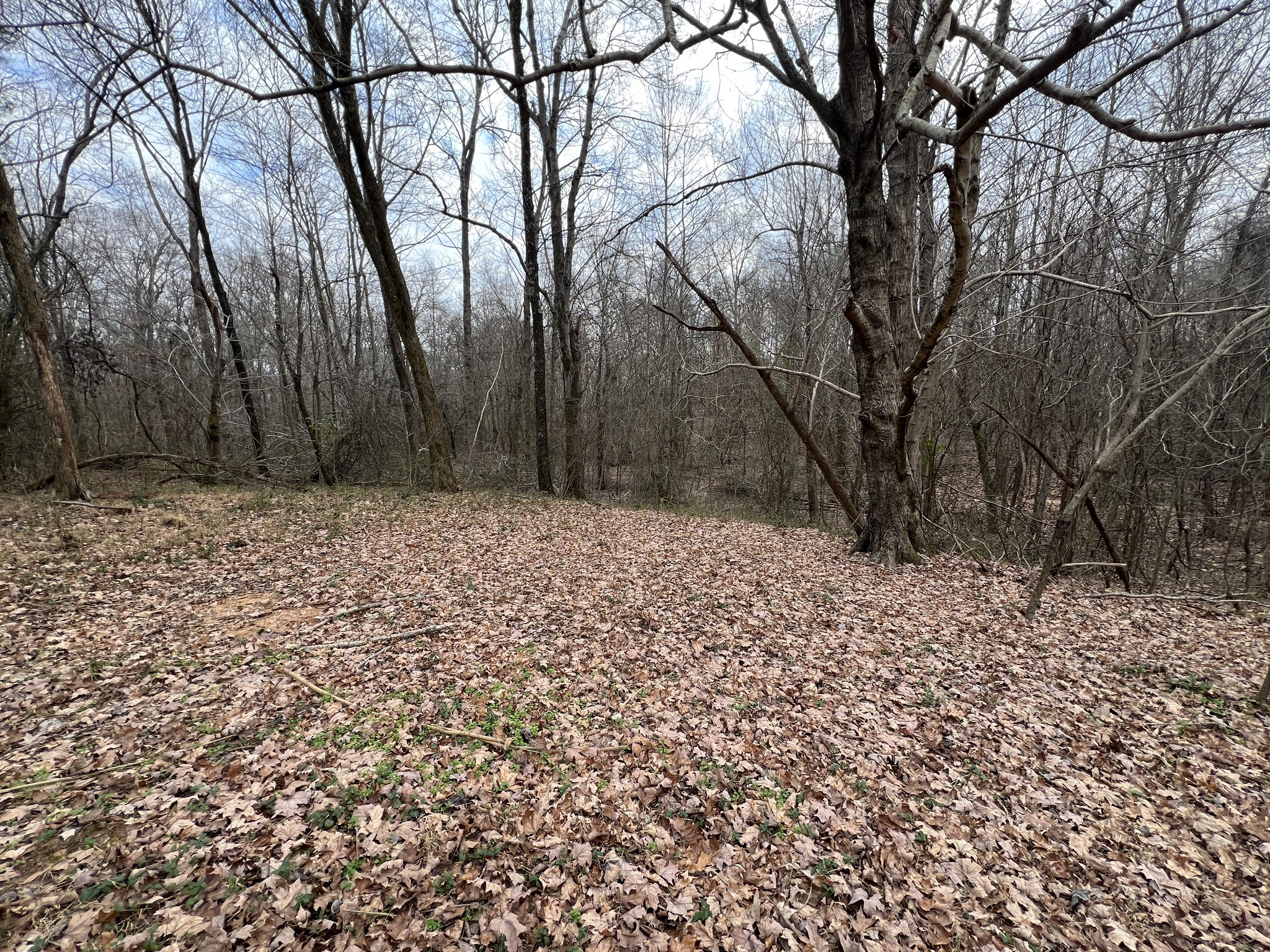 520 Rice Humphrey Road Puryear, TN 38251 - Photo 21 of 29 Gallery Image 21