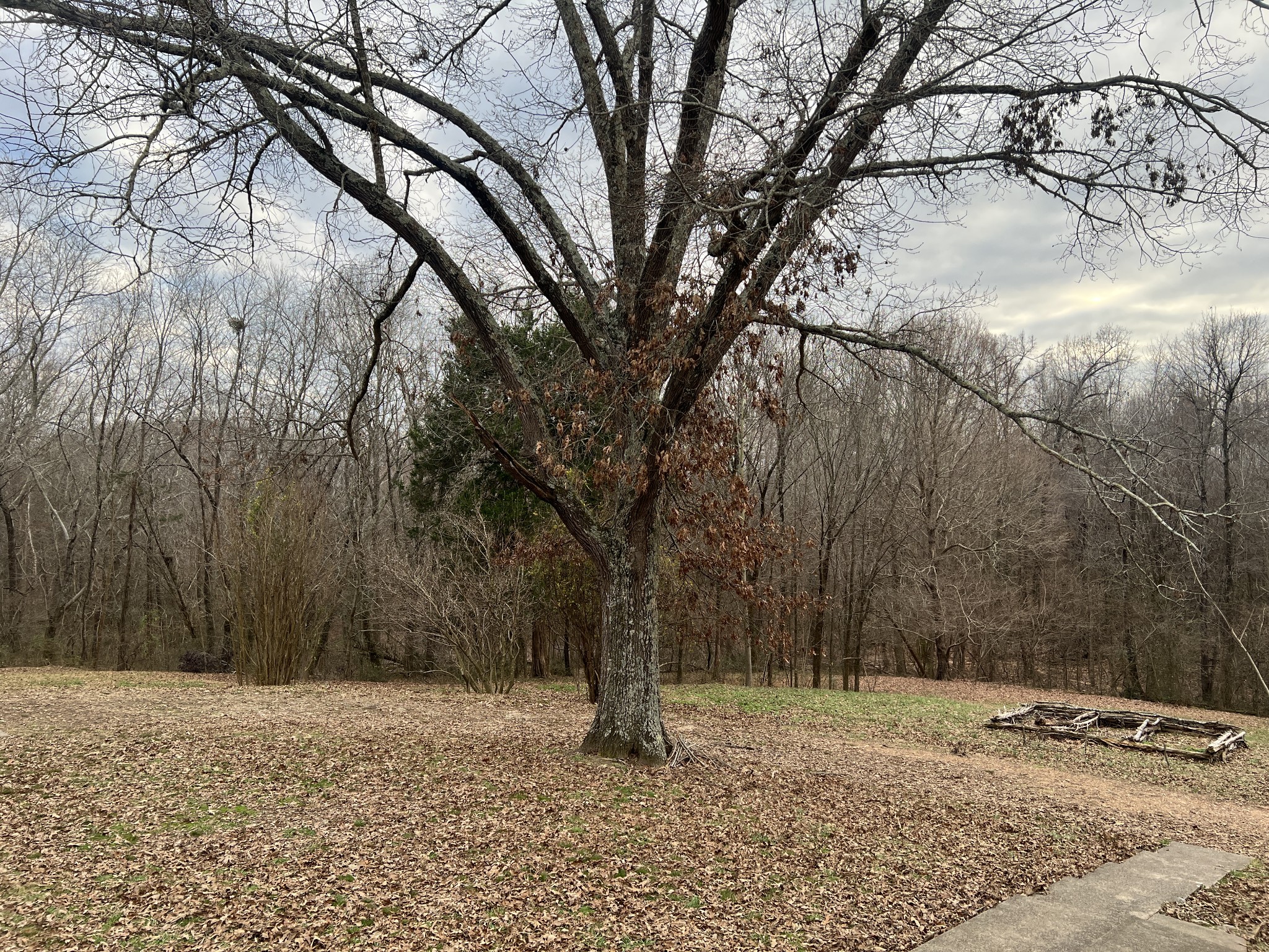 520 Rice Humphrey Road Puryear, TN 38251 - Photo 5 of 29 Gallery Image 5
