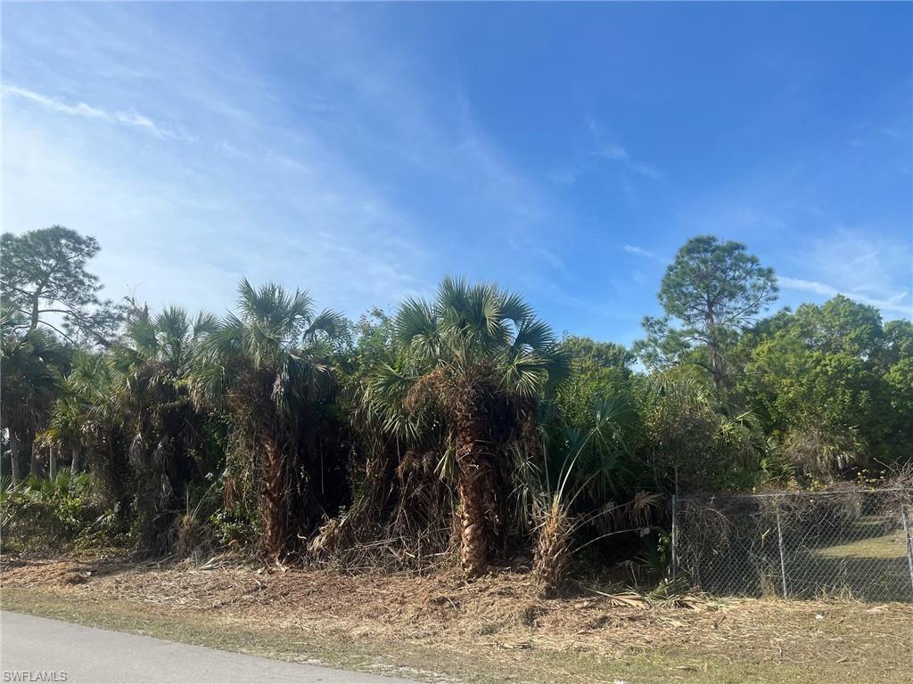 381 22nd Street Northeast Naples, FL 34120 - Photo 2 of 17 a view of a backyard