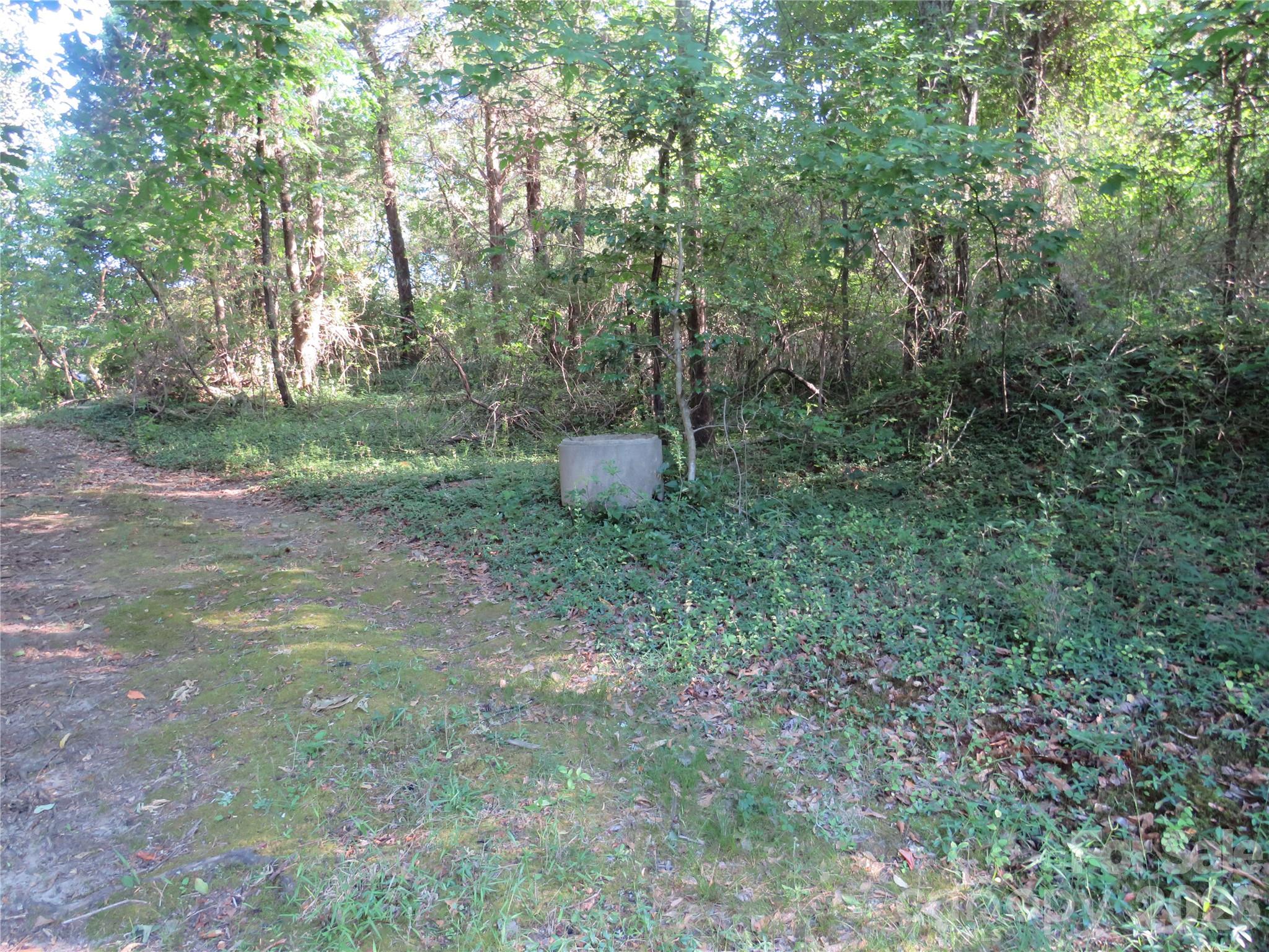 262 Flat Rock Road Forest City, NC 28043 - Photo 34 of 41