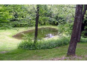 3530 Stage Road Barnard, VT 05068 - Photo 4 of 5