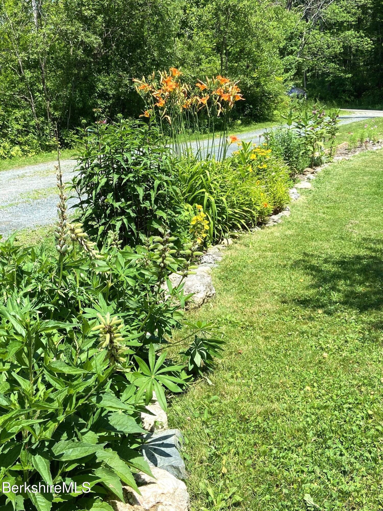 201 Weaver Dam Road Petersburg, NY 12138 - Photo 29 of 32 Pereniall bordered driveway