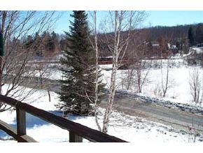 622 Otter Road, Unit 622 Grantham, NH 03753 - Photo 2 of 9