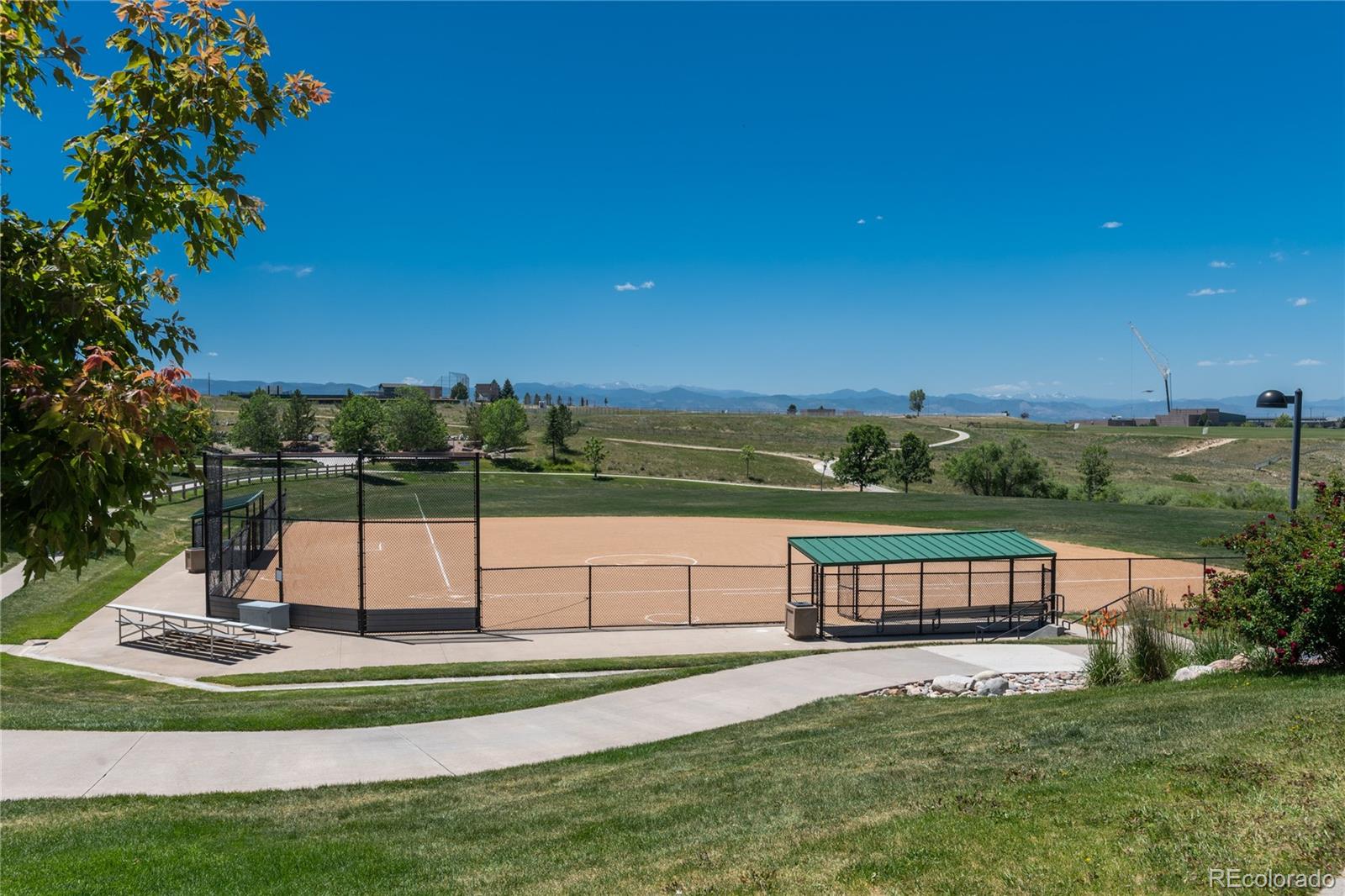 3071 Fox Sedge Lane Highlands Ranch, CO 80126 - Photo 47 of 49
