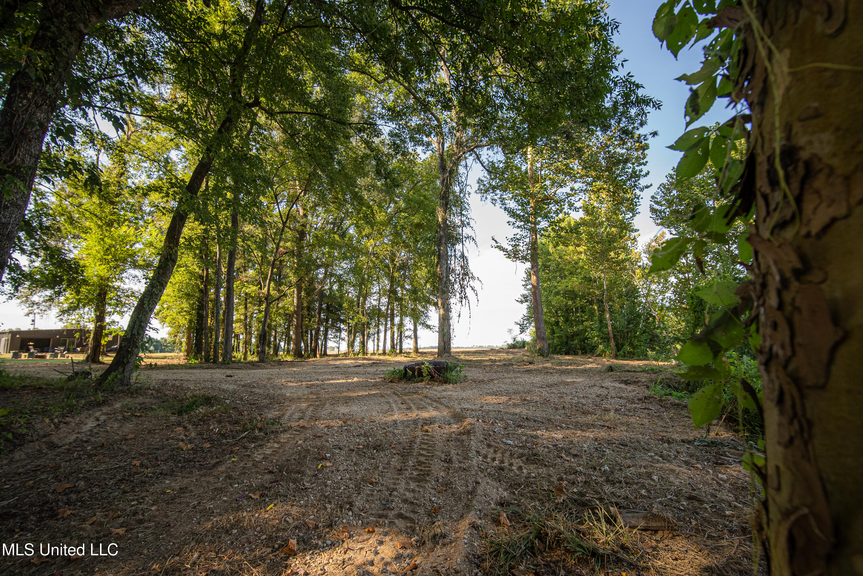 6710 Money Road Greenwood, MS 38930 - Photo 11 of 58 DSC00123