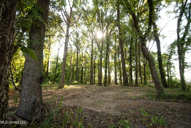 $749,000 | 6710 Money Road, Greenwood, MS 38930