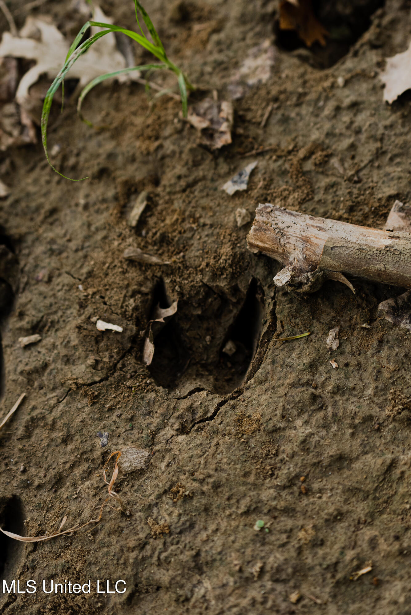 6710 Money Road Greenwood, MS 38930 - Photo 14 of 58 DSC00175