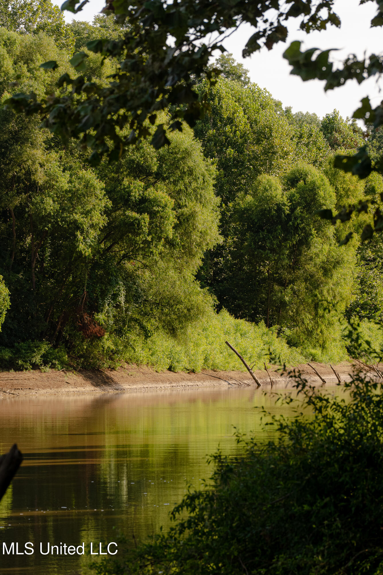 6710 Money Road Greenwood, MS 38930 - Photo 15 of 58 DSC00180