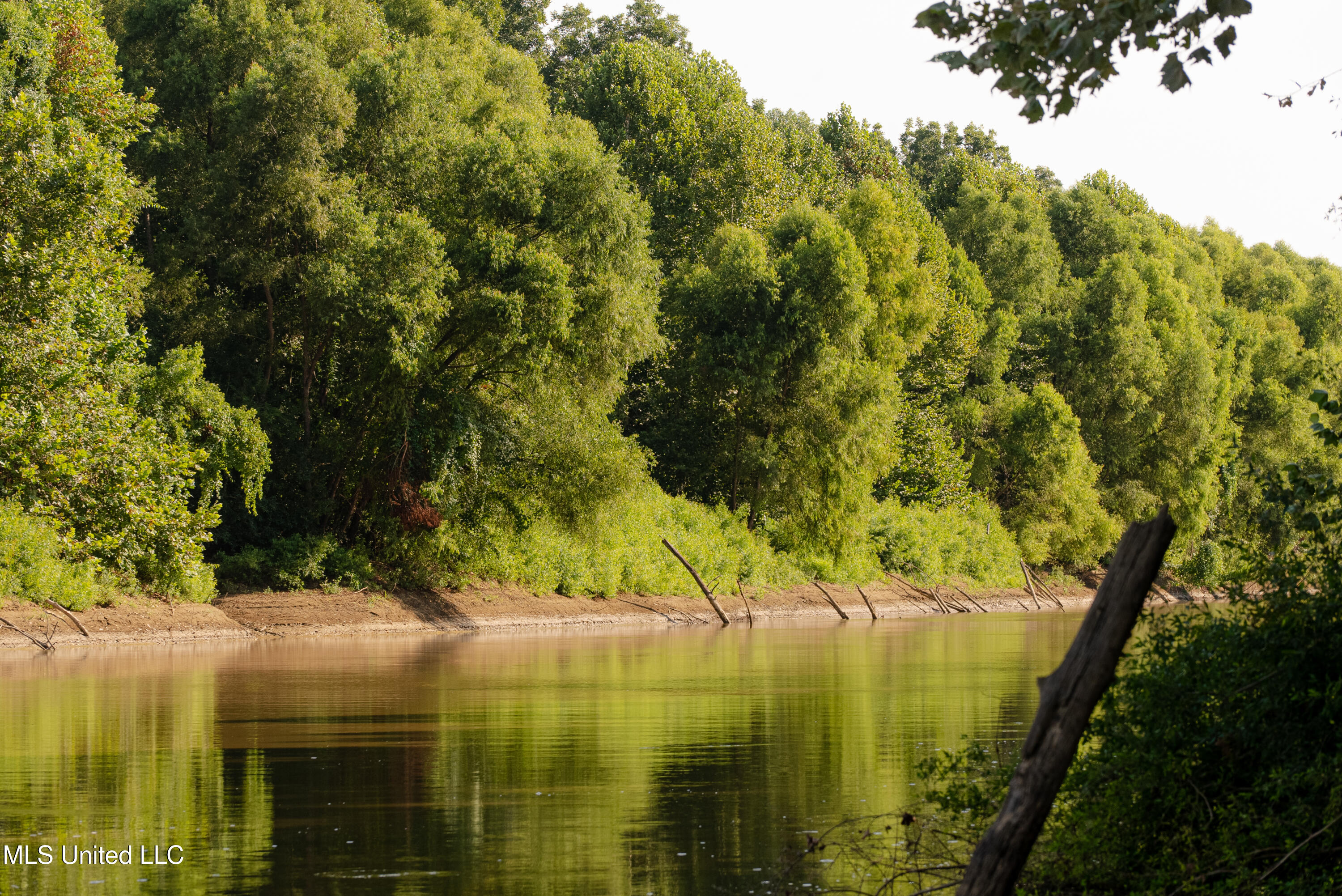 6710 Money Road Greenwood, MS 38930 - Photo 16 of 58 DSC00187