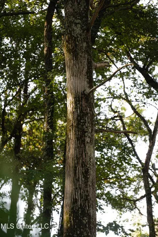 $749,000 | 6710 Money Road, Greenwood, MS 38930